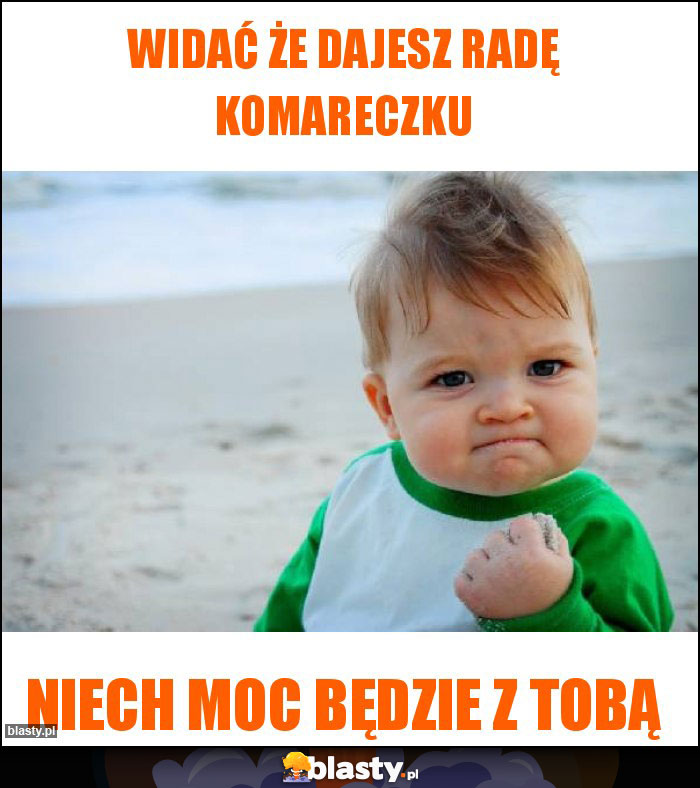 Widać że dajesz radę komareczku Widać że dajesz radę komareczku