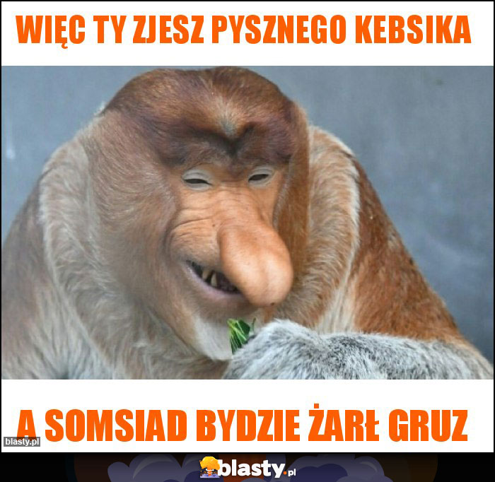 Więc Ty zjesz pysznego kebsika Więc Ty zjesz pysznego kebsika