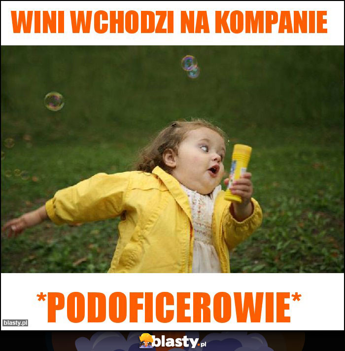 Wini wchodzi na kompanie Wini wchodzi na kompanie
