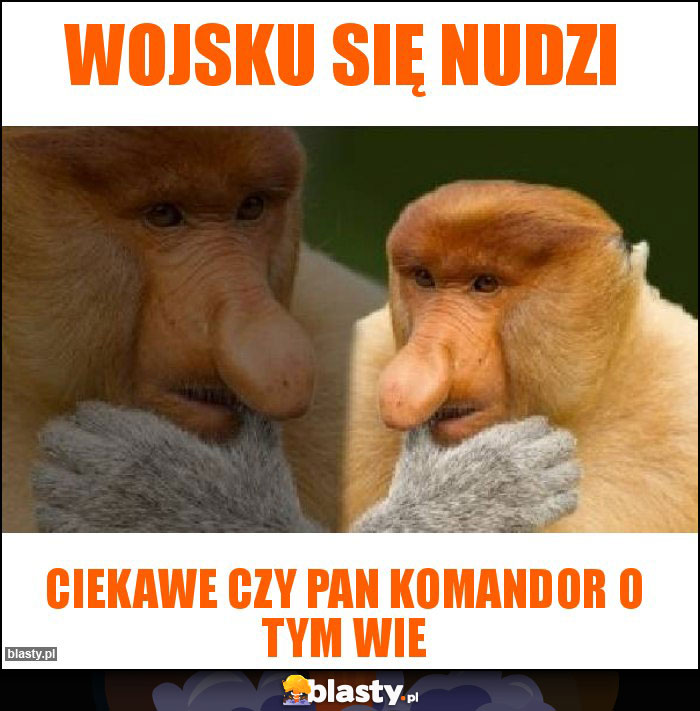 Wojsku się nudzi Wojsku się nudzi
