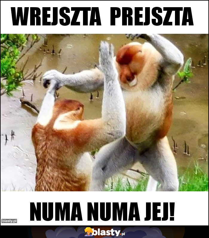 Wrejszta  prejszta