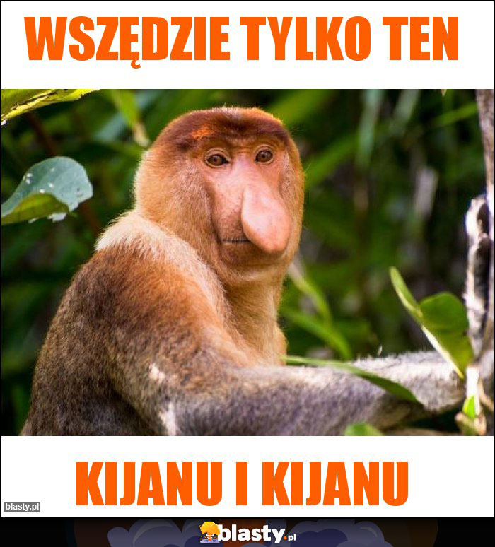 Wszędzie tylko ten Wszędzie tylko ten
