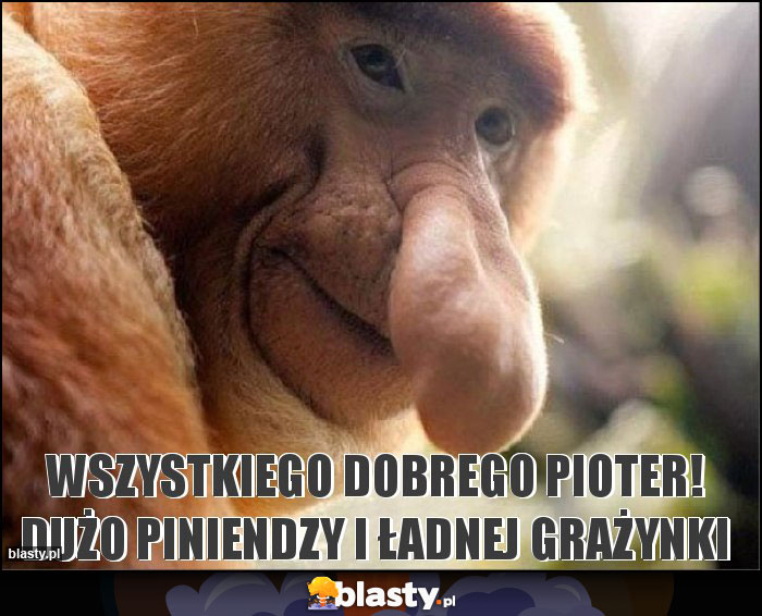 Wszystkiego dobrego Pioter! Dużo piniendzy i ładnej Grażynki Wszystkiego dobrego Pioter! Dużo piniendzy i ładnej Grażynki