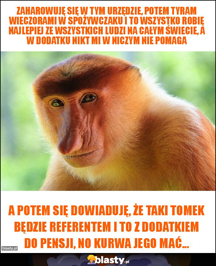 Zaharowuję się w tym urzędzie, potem tyram wieczorami w spożywczaku i to wszystko robię najlepiej ze wszystkich ludzi na całym świecie, a w dodatku nikt mi w niczym nie pomaga Zaharowuję się w tym urzędzie, potem tyram wieczorami w spożywczaku i to wszystko robię najlepiej ze wszystkich ludzi na całym świecie, a w dodatku nikt mi w niczym nie pomaga