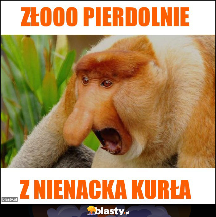 Złooo pierdolnie Złooo pierdolnie