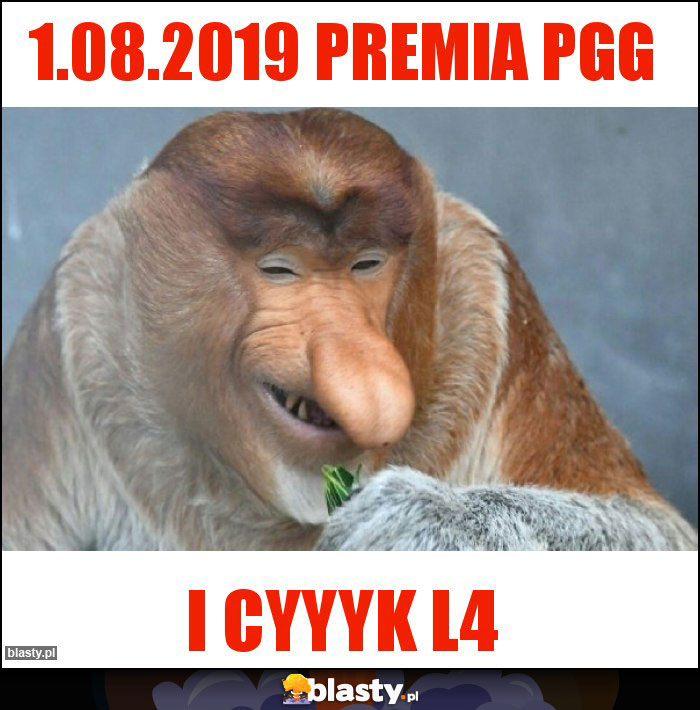 1.08.2019 Premia pgg 1.08.2019 Premia pgg