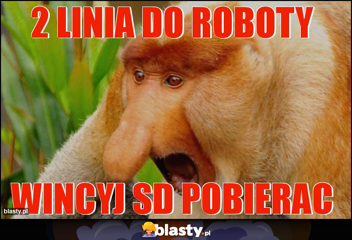 2 linia do roboty 2 linia do roboty