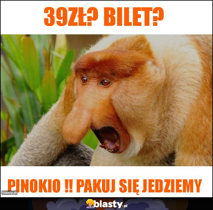 39zł? Bilet?