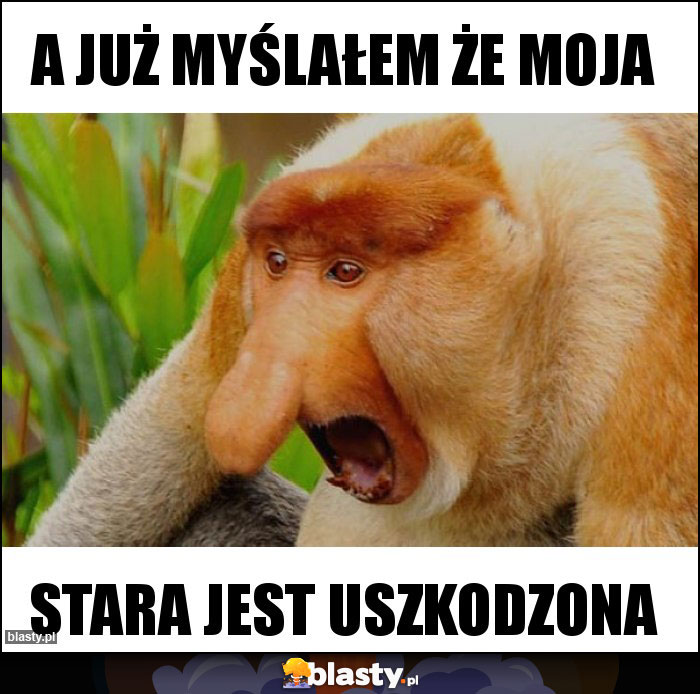 a już myślałem że moja a już myślałem że moja