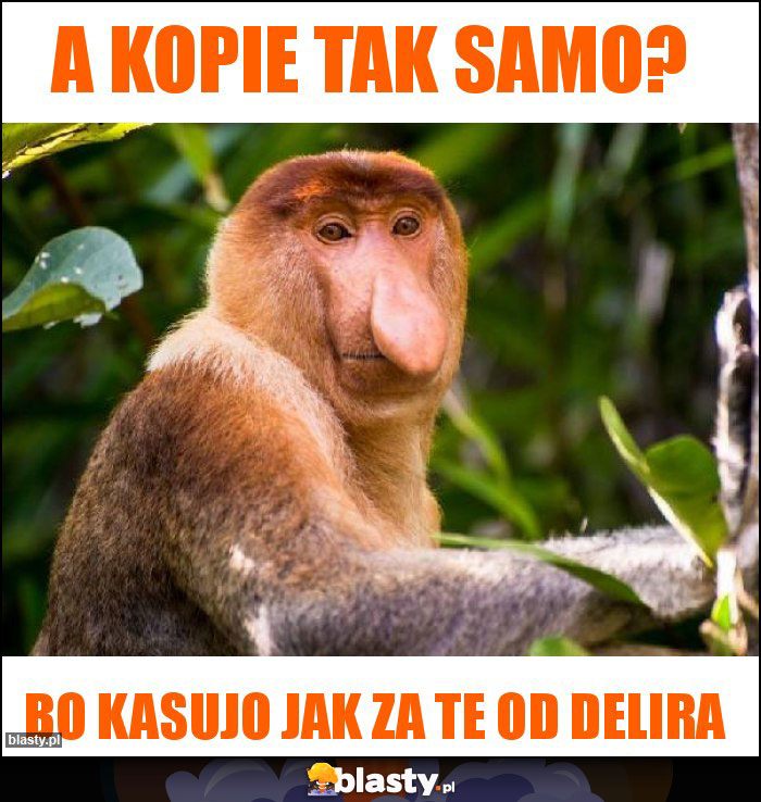 A kopie tak samo? A kopie tak samo?