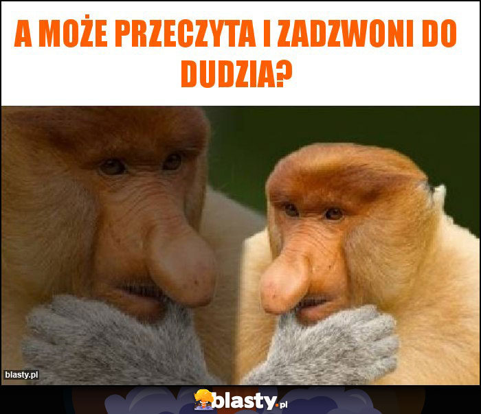 A może przeczyta i zadzwoni do dudzia? A może przeczyta i zadzwoni do dudzia?