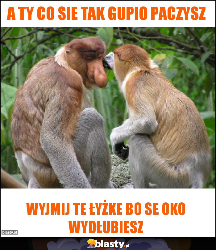 A TY CO SIE TAK GUPIO PACZYSZ A TY CO SIE TAK GUPIO PACZYSZ