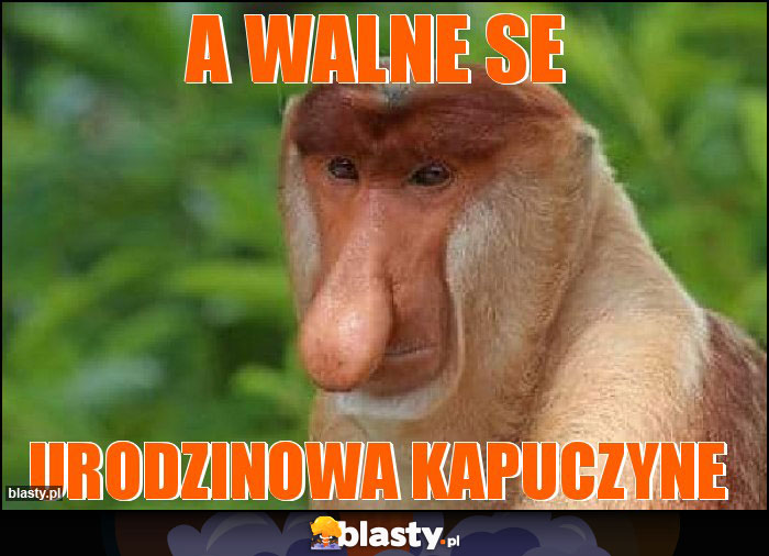 A WALNE SE A WALNE SE