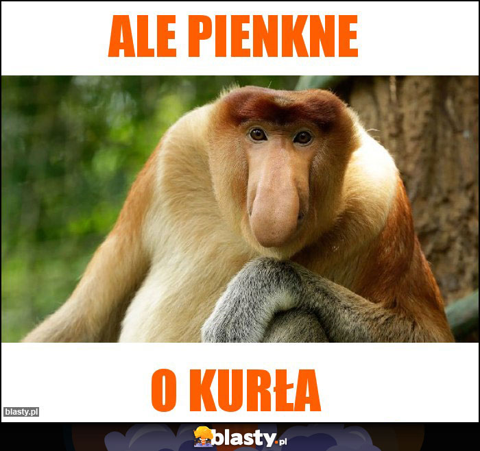 ALE PIENKNE ALE PIENKNE