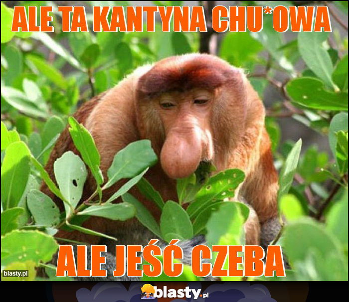 Ale ta kantyna chu*owa Ale ta kantyna chu*owa