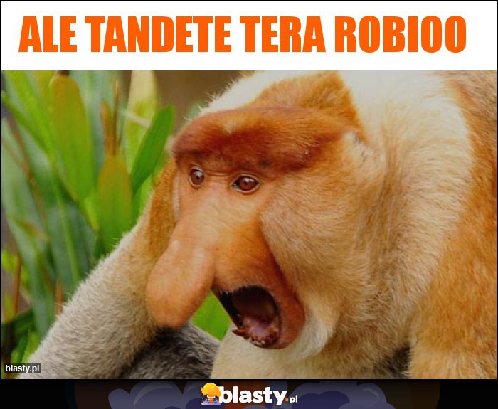 Ale tandete tera robioo Ale tandete tera robioo