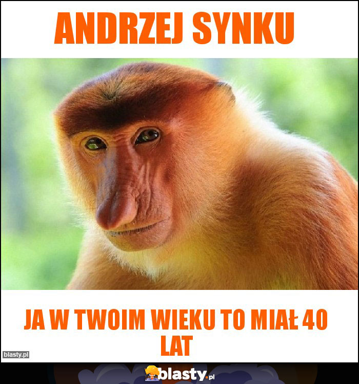Andrzej synku Andrzej synku