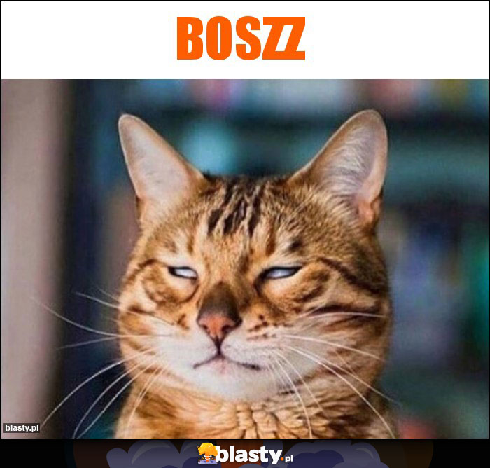 Boszz