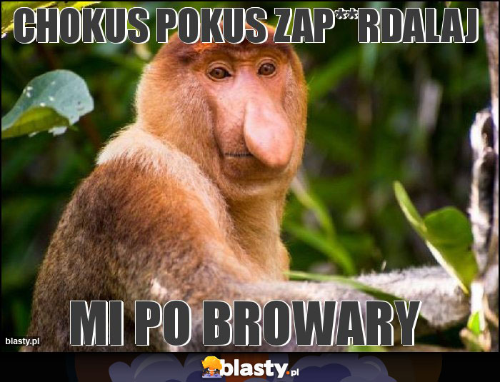 Chokus pokus zap**rdalaj Chokus pokus zap**rdalaj