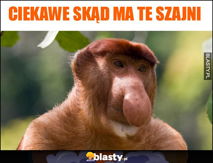 Ciekawe skąd ma te szajni Ciekawe skąd ma te szajni