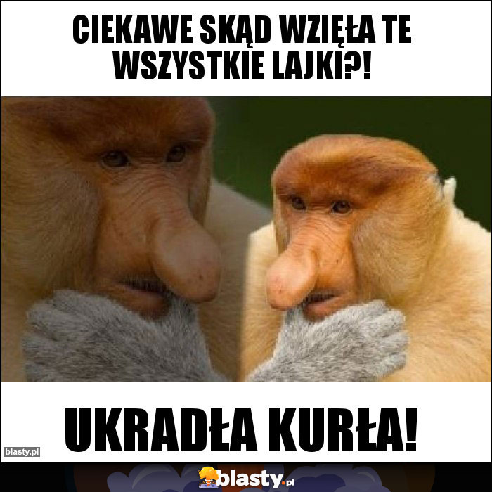 Ciekawe Skąd wzięła te wszystkie lajki?! Ciekawe Skąd wzięła te wszystkie lajki?!