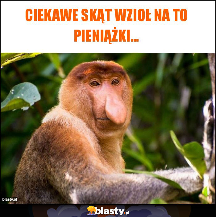 Ciekawe skąt wzioł na to pieniążki... Ciekawe skąt wzioł na to pieniążki...