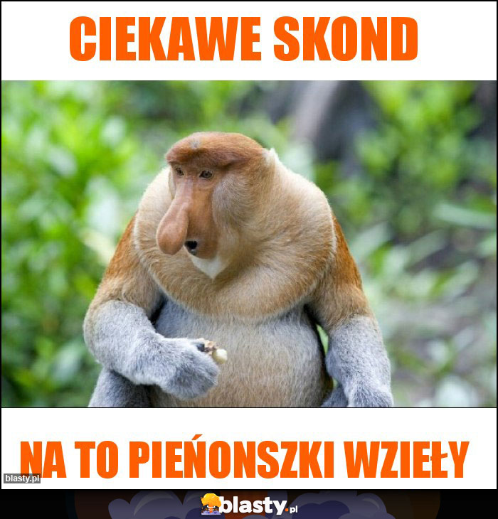 CIEKAWE SKOND