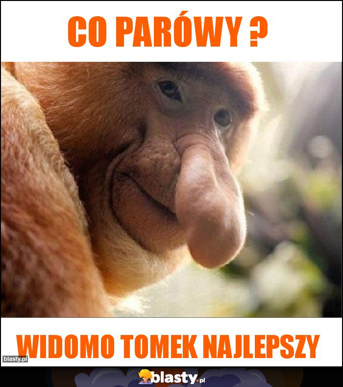 Co parówy ? Co parówy ?