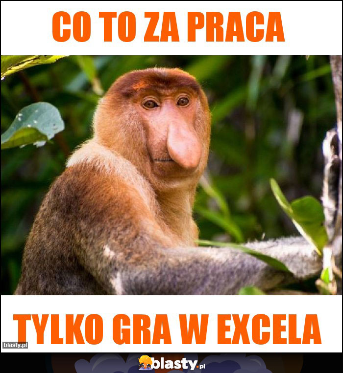Co to za praca Co to za praca