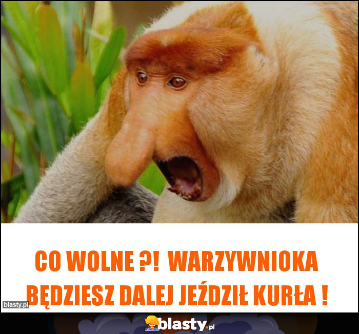 Co wolne ?! Warzywnioka będziesz dalej jeździł kurła ! Co wolne ?! Warzywnioka będziesz dalej jeździł kurła !