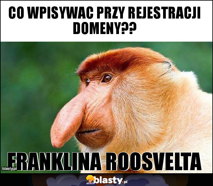 Co wpisywac przy rejestracji domeny?? Co wpisywac przy rejestracji domeny??