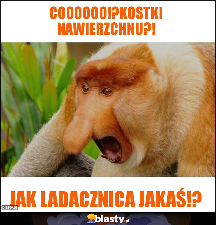Coooooo!?kostki nawierzchnu?! Coooooo!?kostki nawierzchnu?!