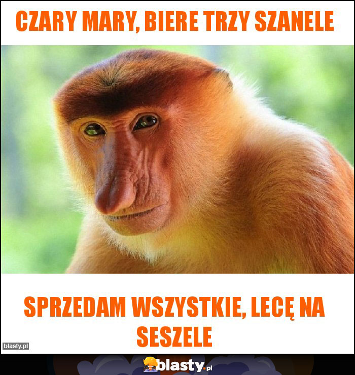 Czary mary, biere trzy szanele Czary mary, biere trzy szanele