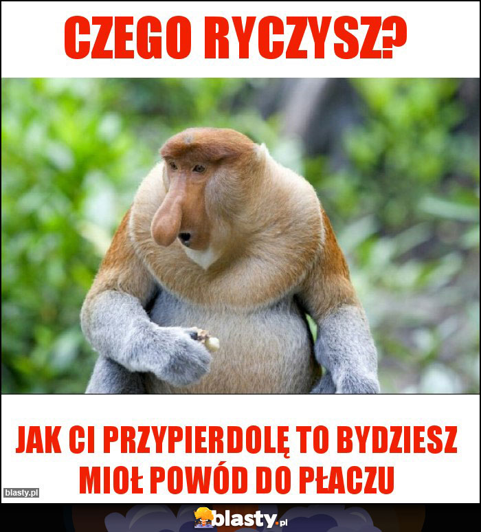 Czego ryczysz? Czego ryczysz?