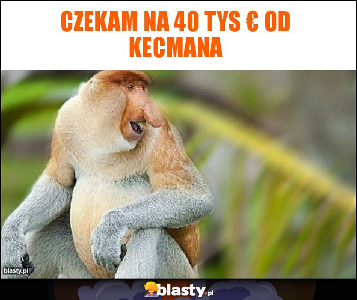 Czekam na 40 tys € od Kecmana Czekam na 40 tys € od Kecmana