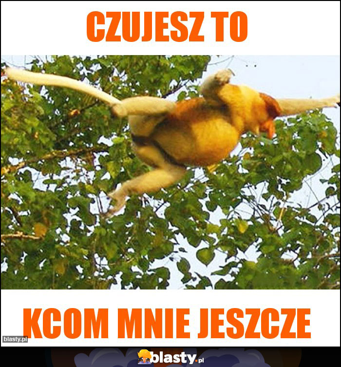 Czujesz to Czujesz to