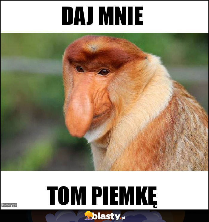 Daj mnie