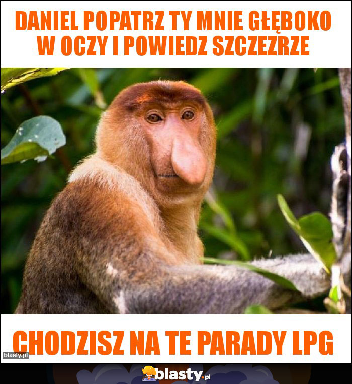 Daniel popatrz ty mnie głęboko w oczy i powiedz szczezrze