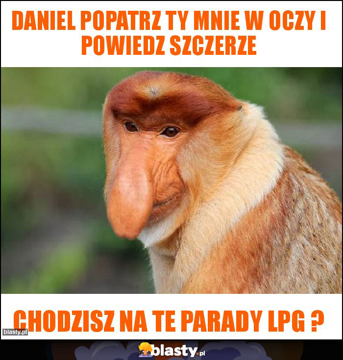 Daniel popatrz ty mnie w oczy i powiedz szczerze