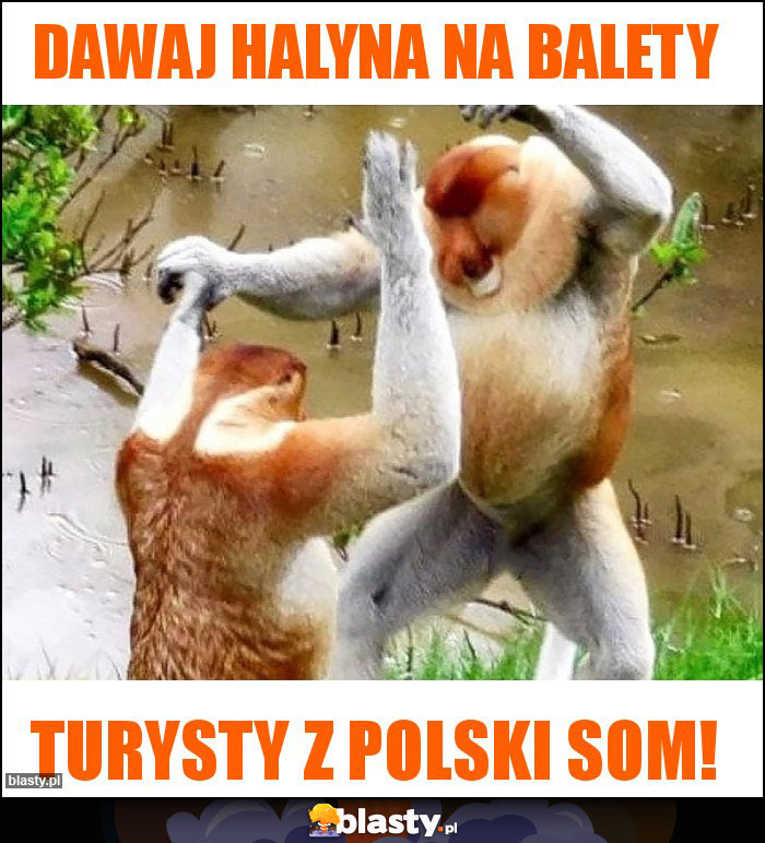 Dawaj Halyna na balety Dawaj Halyna na balety