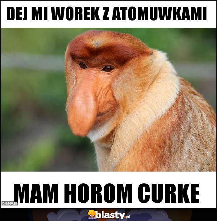DEJ MI WOREK z atomuwkami DEJ MI WOREK z atomuwkami