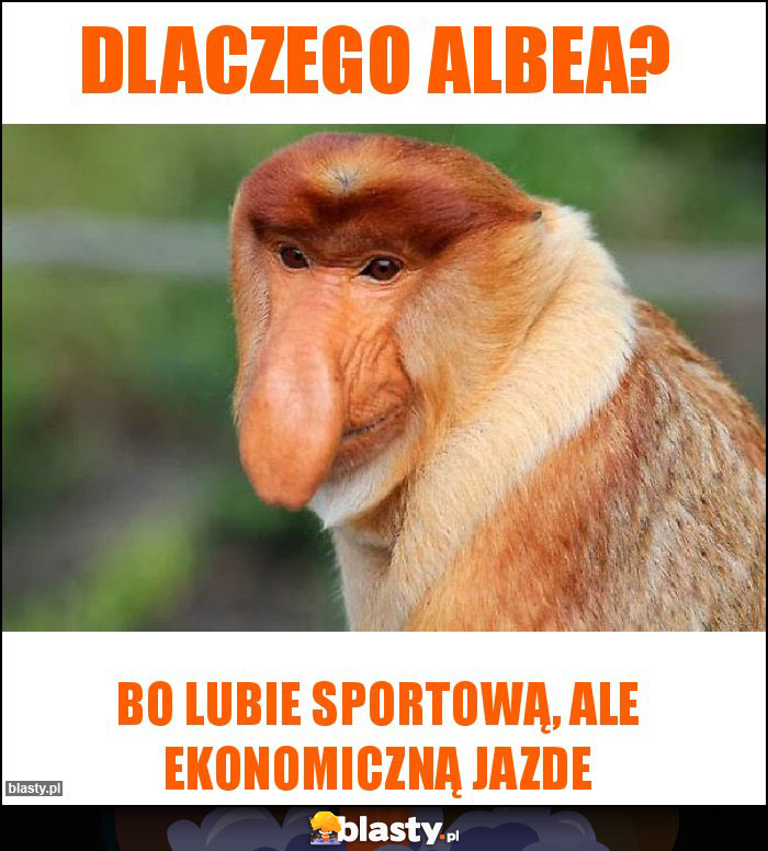 Dlaczego Albea? Dlaczego Albea?