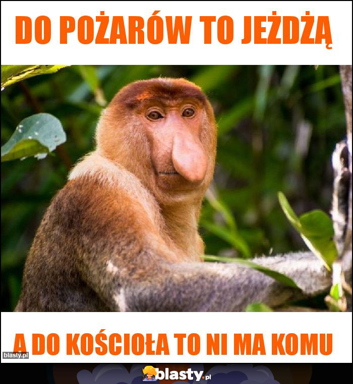 Do pożarów to jeżdżą