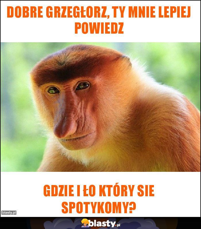 Dobre grzegłorz, ty mnie lepiej powiedz Dobre grzegłorz, ty mnie lepiej powiedz