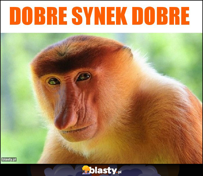 Dobre synek dobre Dobre synek dobre