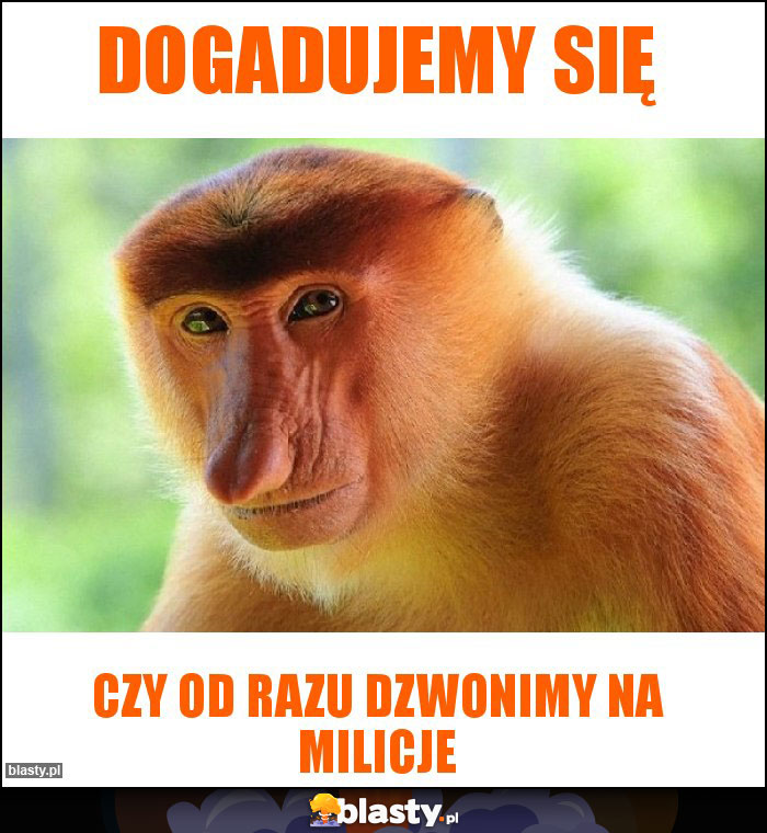 Dogadujemy się Dogadujemy się