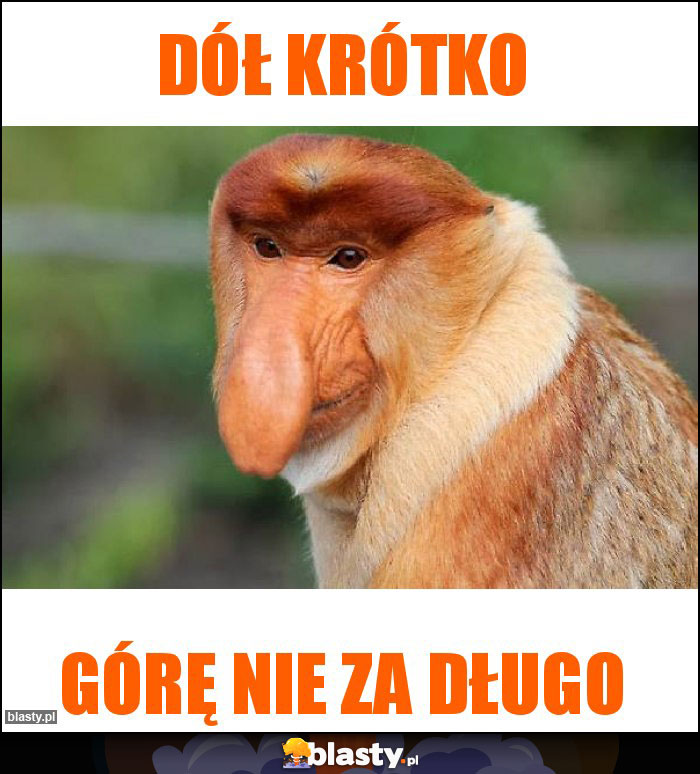 Dół krótko Dół krótko