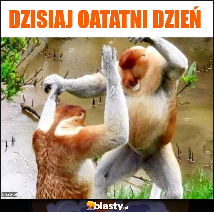 Dzisiaj oatatni dzień Dzisiaj oatatni dzień