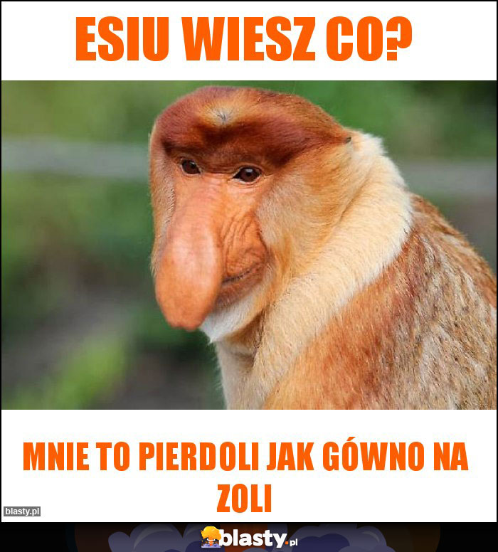 Esiu wiesz co? Esiu wiesz co?