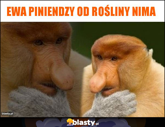 Ewa piniendzy od Rośliny nima